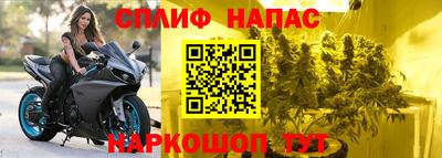 СК Аргун