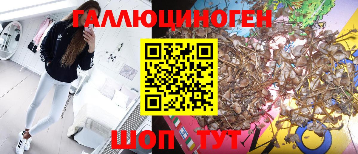 Галлюциногенные грибы Magic Shrooms Богданович